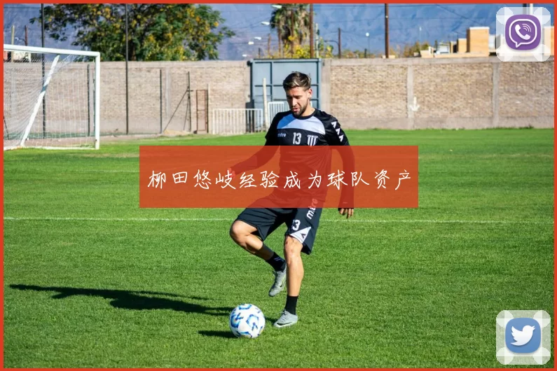 柳田悠岐经验成为球队资产