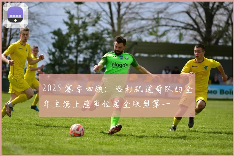 2025 赛季回顾：洛杉矶道奇队的全年主场上座率位居全联盟第一