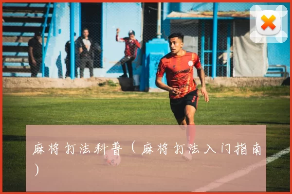 麻将打法科普（麻将打法入门指南）