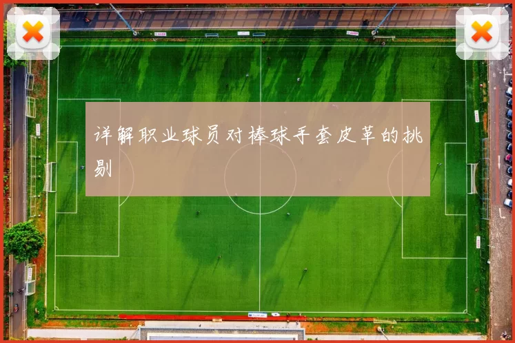 详解职业球员对棒球手套皮革的挑剔