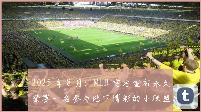2025 年 8 月：MLB 官方宣布永久禁赛一名参与地下博彩的小联盟裁判