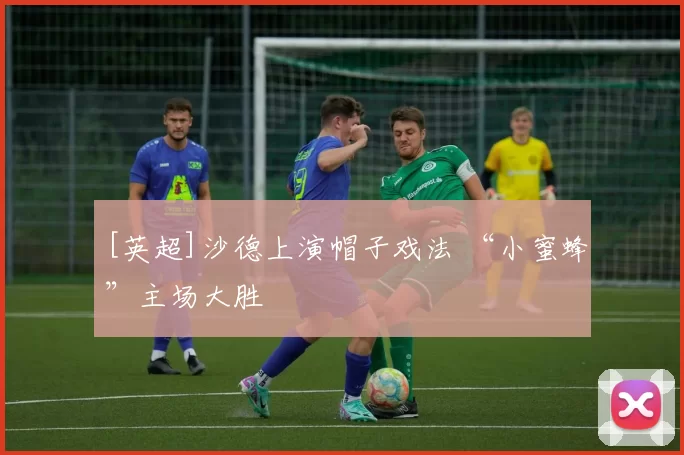 [英超]沙德上演帽子戏法 “小蜜蜂”主场大胜