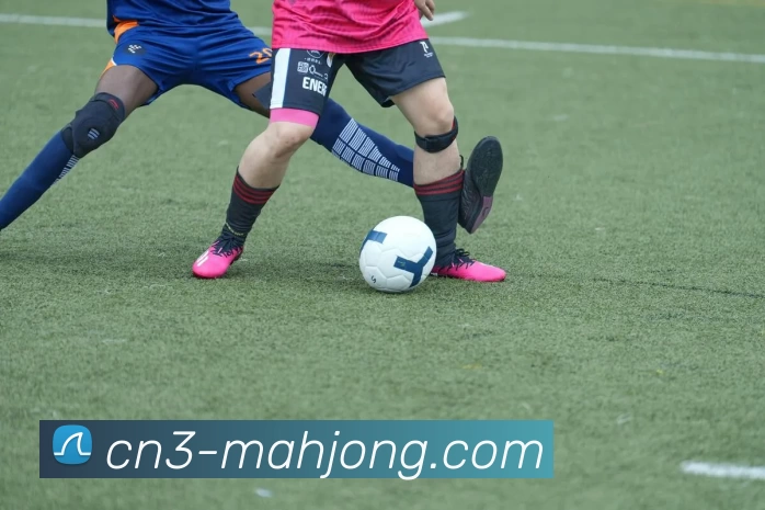 麻将胡了平台生态图